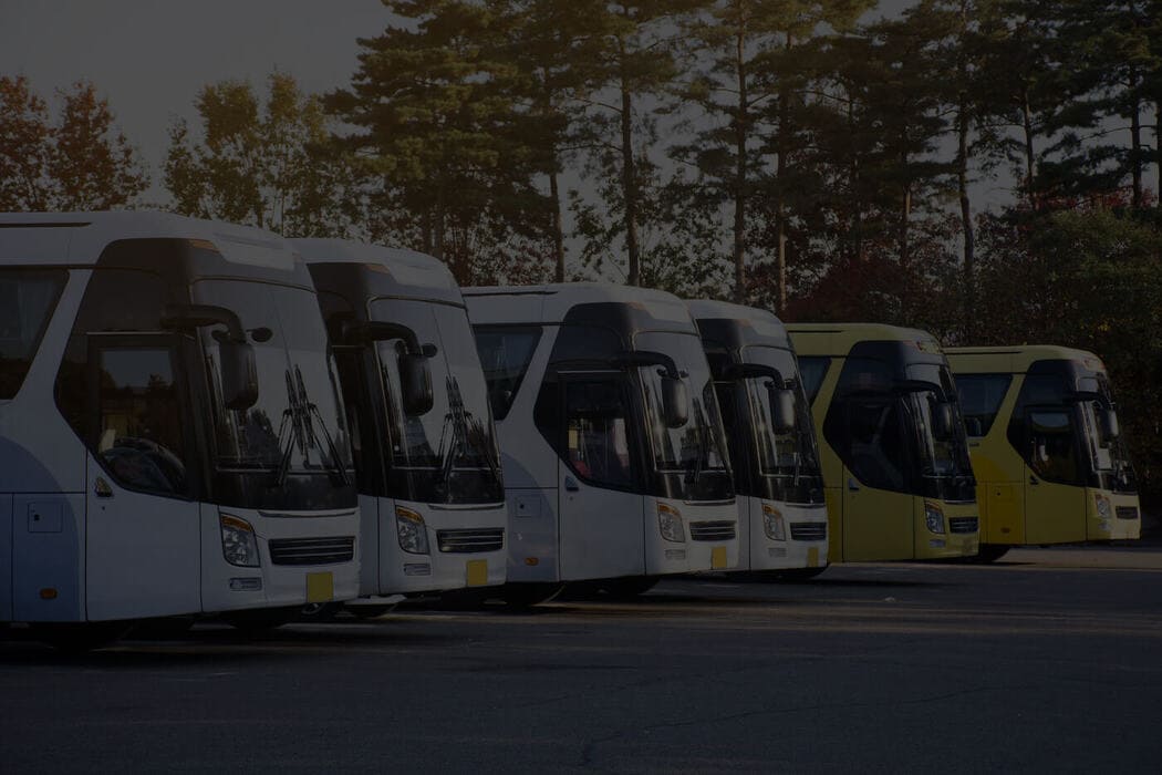 st-george Charter Bus Fleet